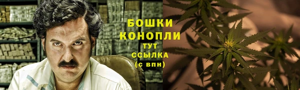 таблы Богданович