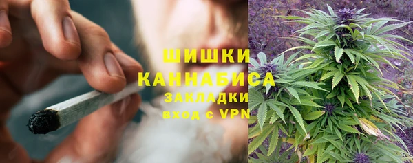 ALPHA PVP Богородицк