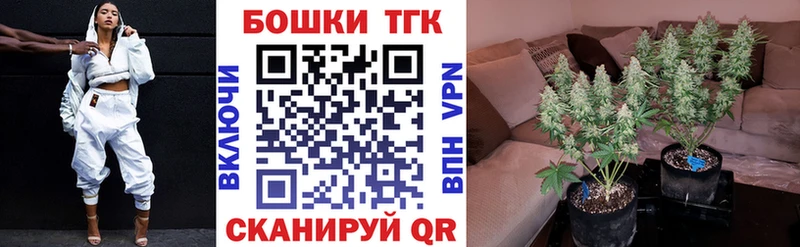 Шишки марихуана White Widow  сколько стоит  Бородино 